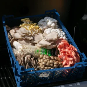 The Big BBQ Mix (1.5kg)